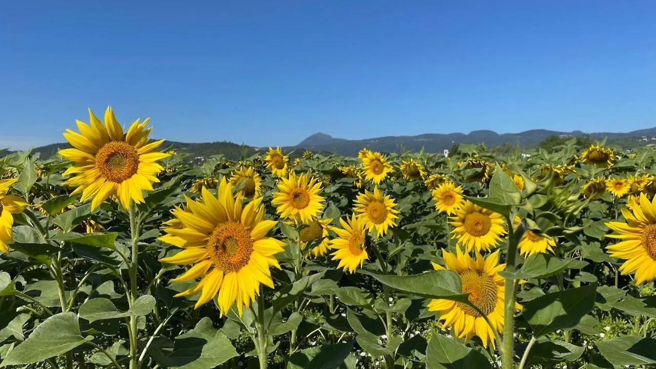 Villa Guillaumette B&B Chateauneuf-les-Bains
